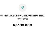 Foto: Contoh BSU 2025 sudah cair di rekening BNI (ist)